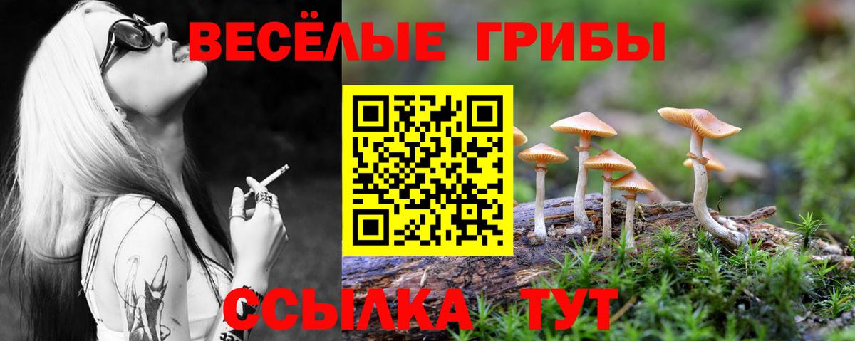 Тихвин  Галлюциногенные грибы Psilocybine cubensis  Вход с VPN 